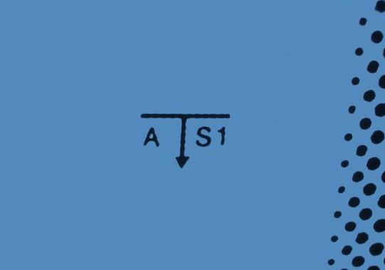 AS 1